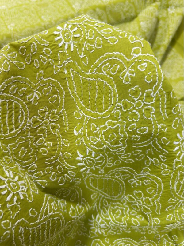 Premium Chikankari Shirt